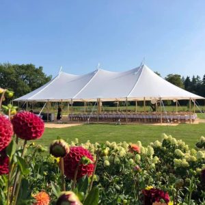 sailcloth & ivory tenten