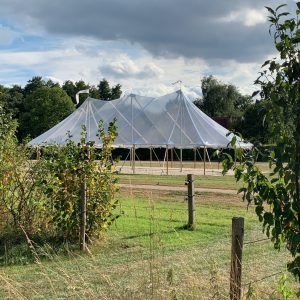 Huur ivory tent - transparant - 14x25m