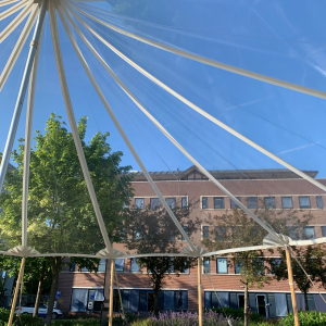 huur ivory tent transparant 14x14m