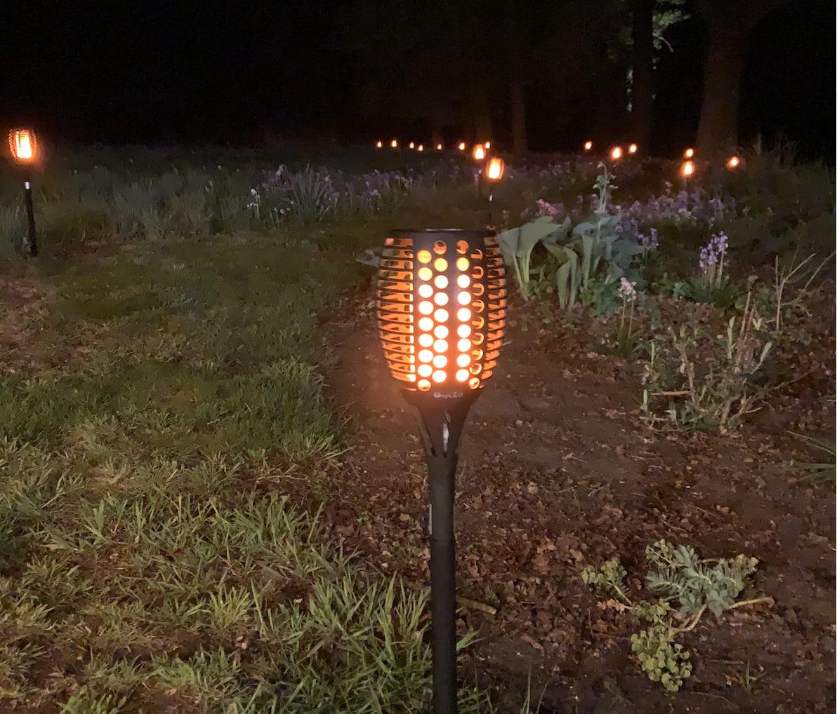 huur solar fakkel huur solar fakkel